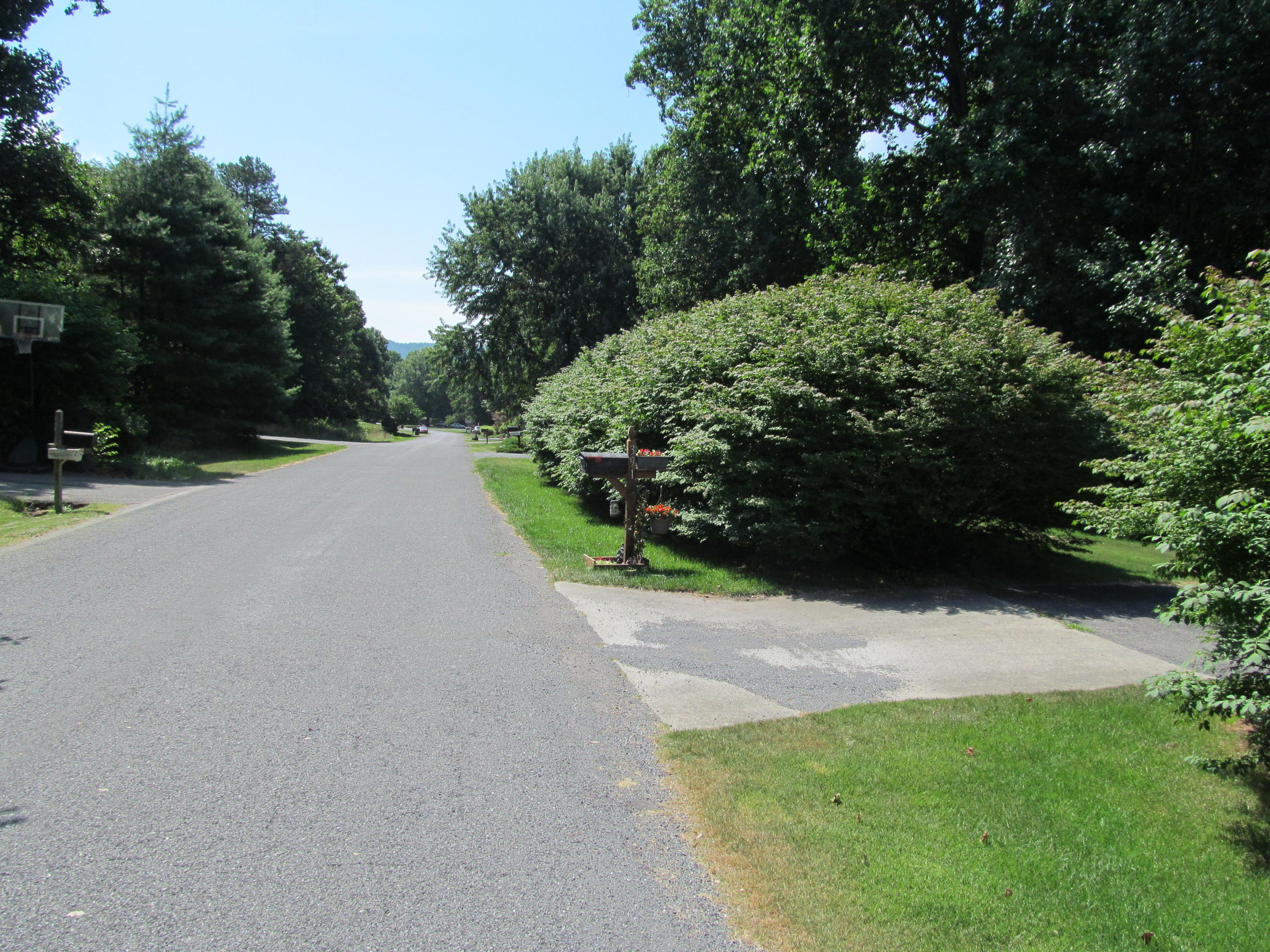 391 Scalybark Drive Blue Ridge, VA 24064 - Photo 25 of 28 391 Scalyba (29)