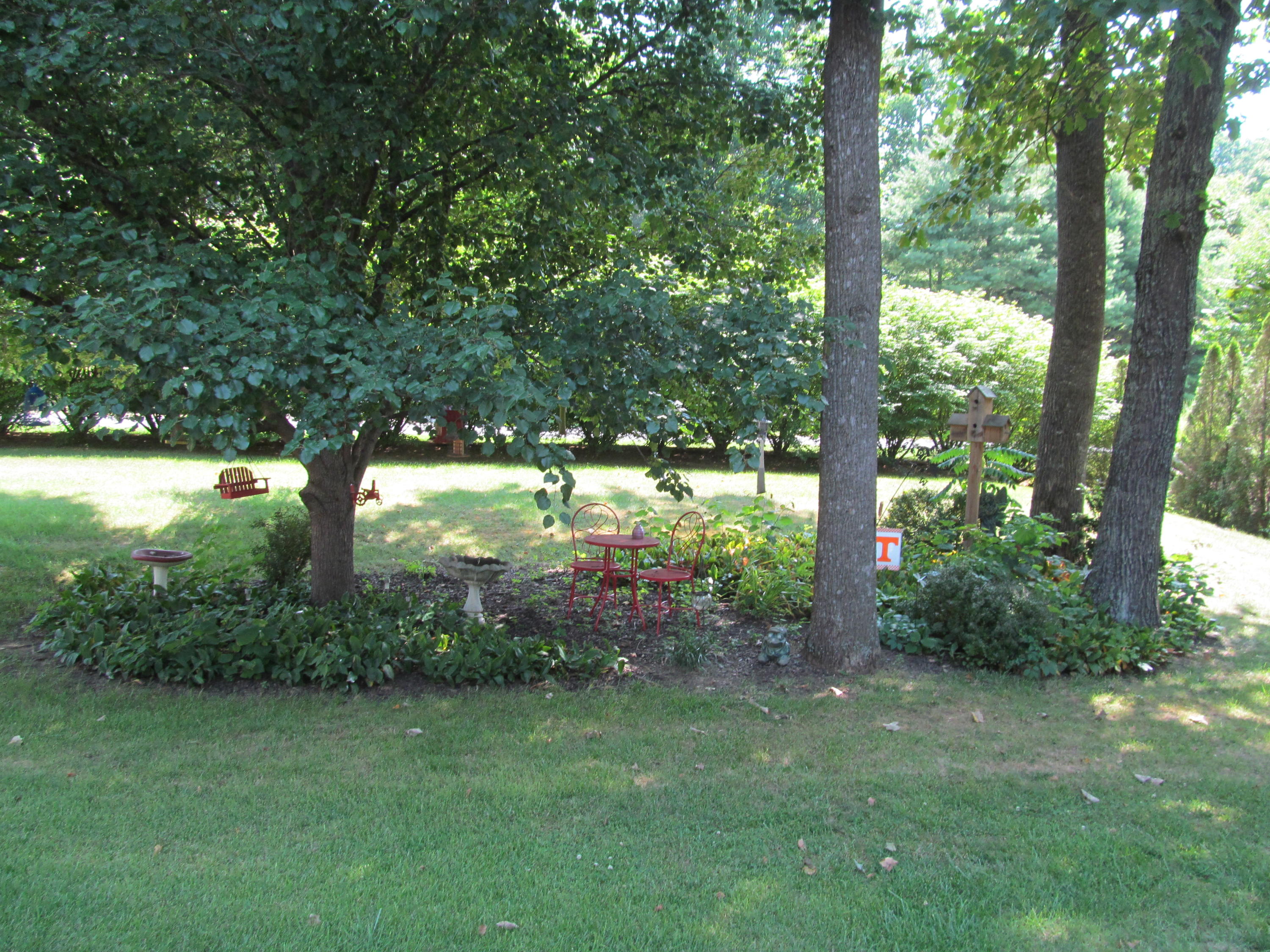 391 Scalybark Drive Blue Ridge, VA 24064 - Photo 26 of 28 391 Scalyba (27)