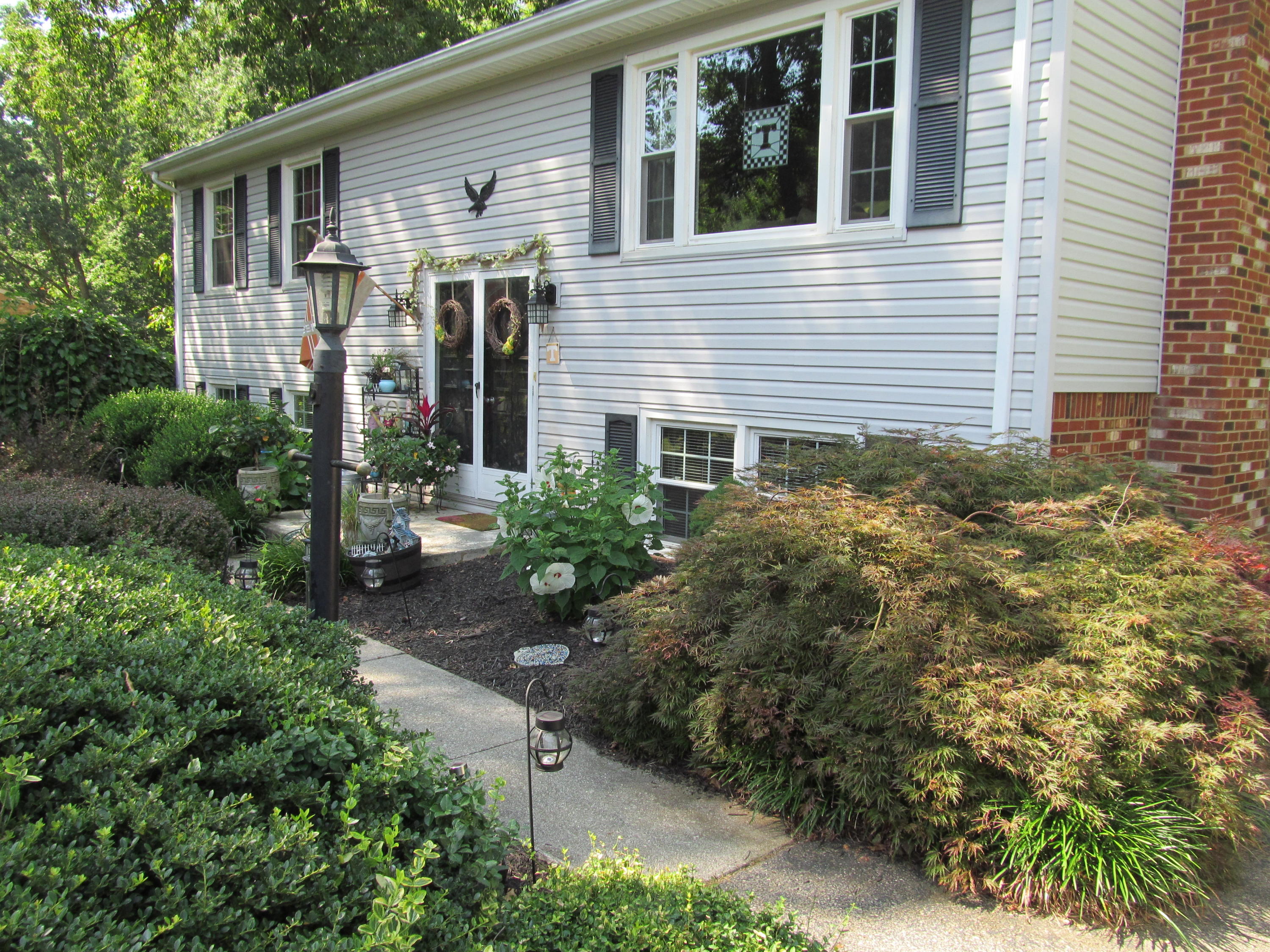 391 Scalybark Drive Blue Ridge, VA 24064 - Photo 27 of 28 391 Scalyba (32)