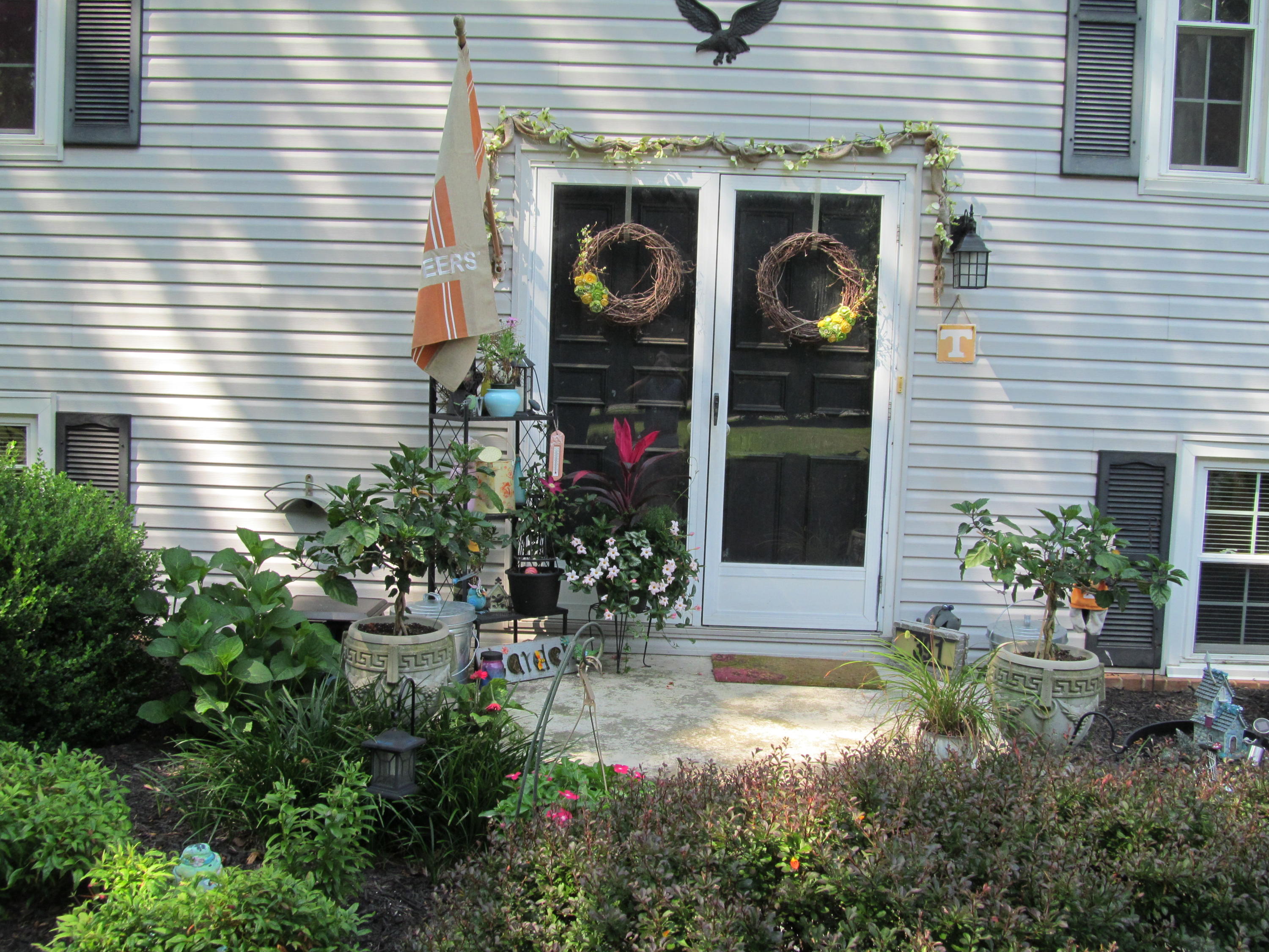 391 Scalybark Drive Blue Ridge, VA 24064 - Photo 28 of 28 391 Scalyba (33)