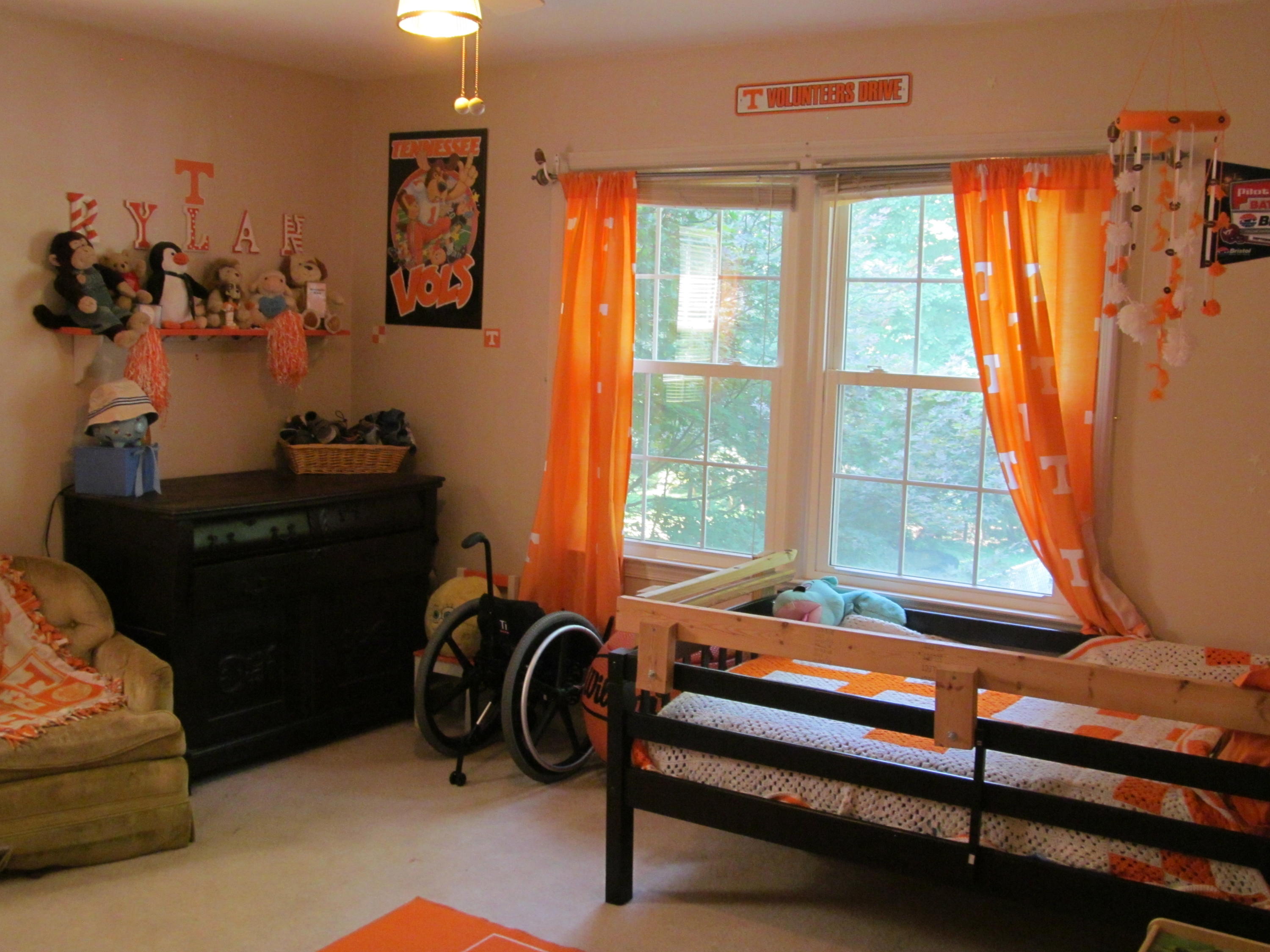 391 Scalybark Drive Blue Ridge, VA 24064 - Photo 7 of 28 391 Scalyba (7)