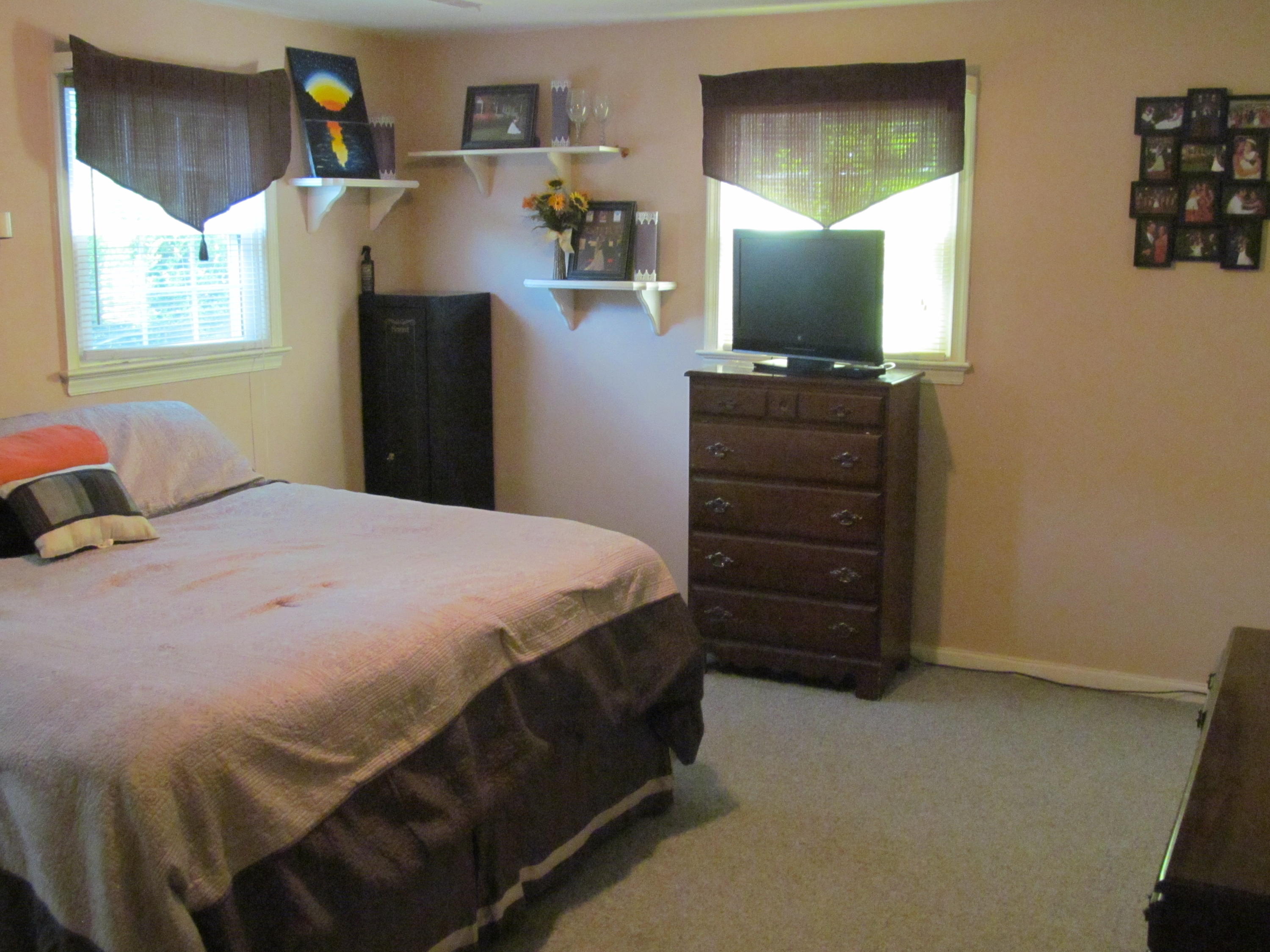 391 Scalybark Drive Blue Ridge, VA 24064 - Photo 10 of 28 391 Scalyba (16)
