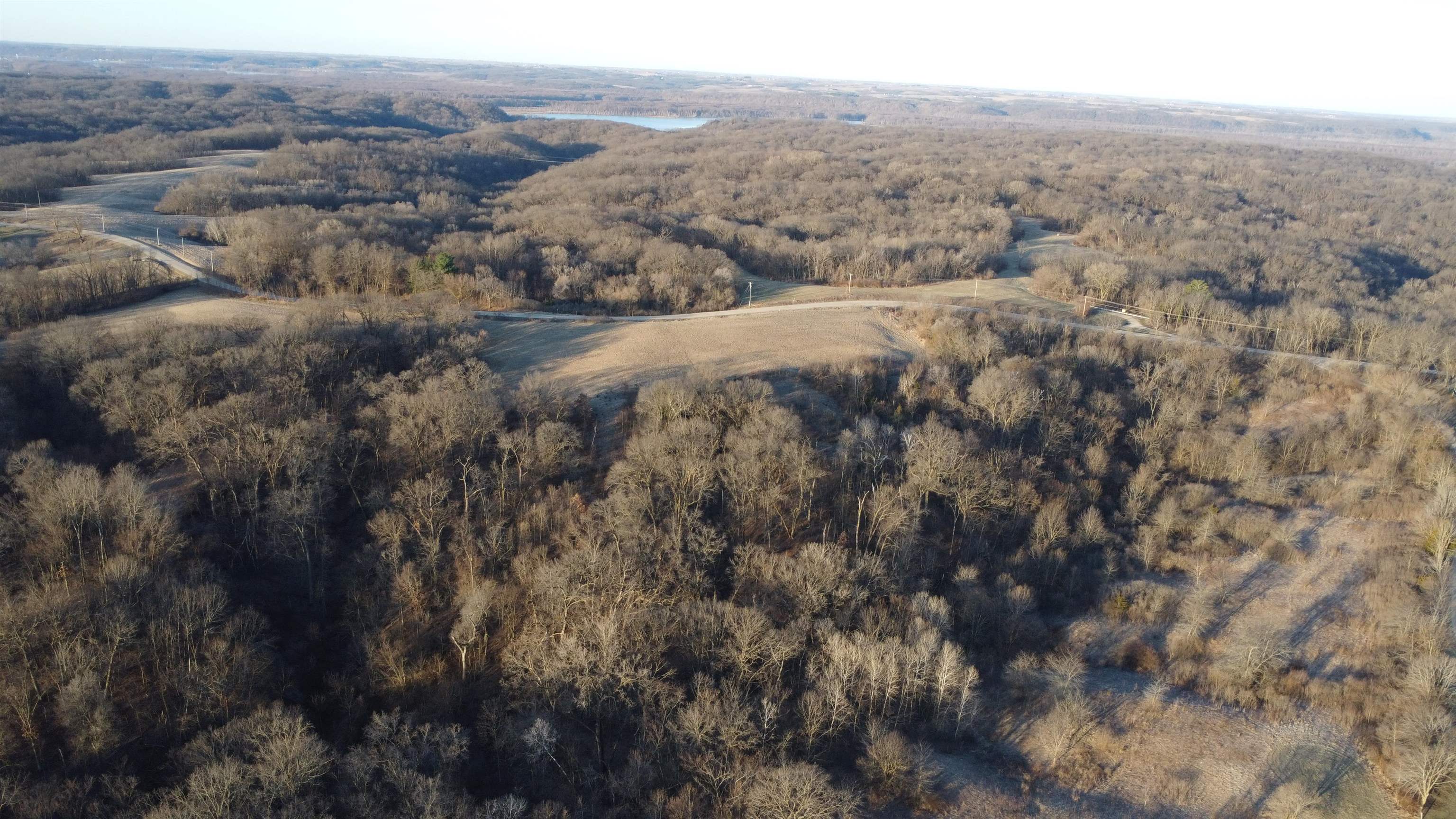 Tbd Scenic Ridge Road Savanna, IL 61074 - Photo 11 of 34 a view of a forest with trees in the background