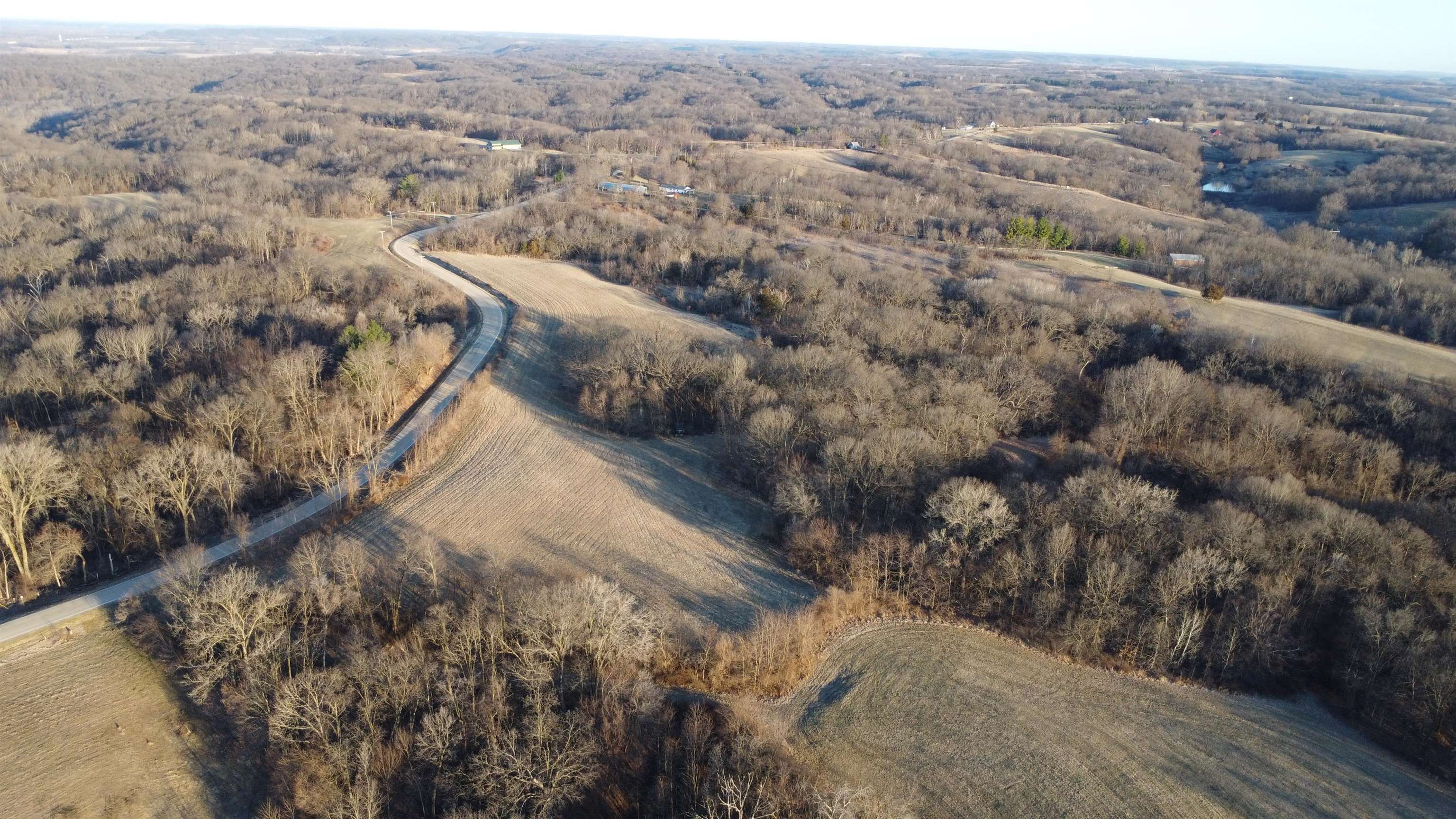 Tbd Scenic Ridge Road Savanna, IL 61074 - Photo 13 of 34 a view of a forest with a yard