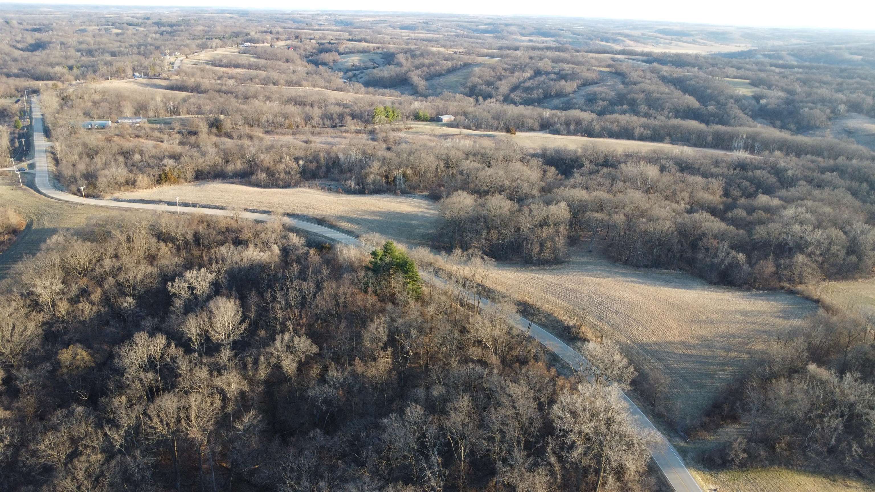 Tbd Scenic Ridge Road Savanna, IL 61074 - Photo 15 of 34 a view of a yard with an outdoor space