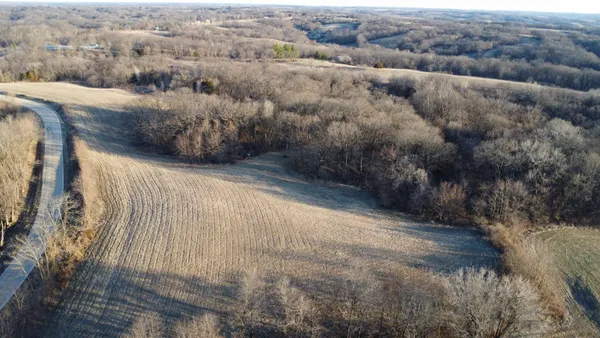 a view of a lot of trees and bushes