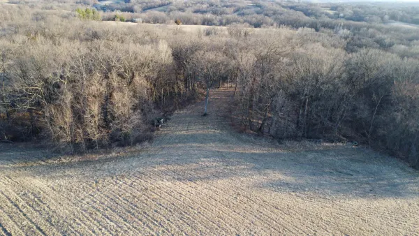 a view of a dry yard