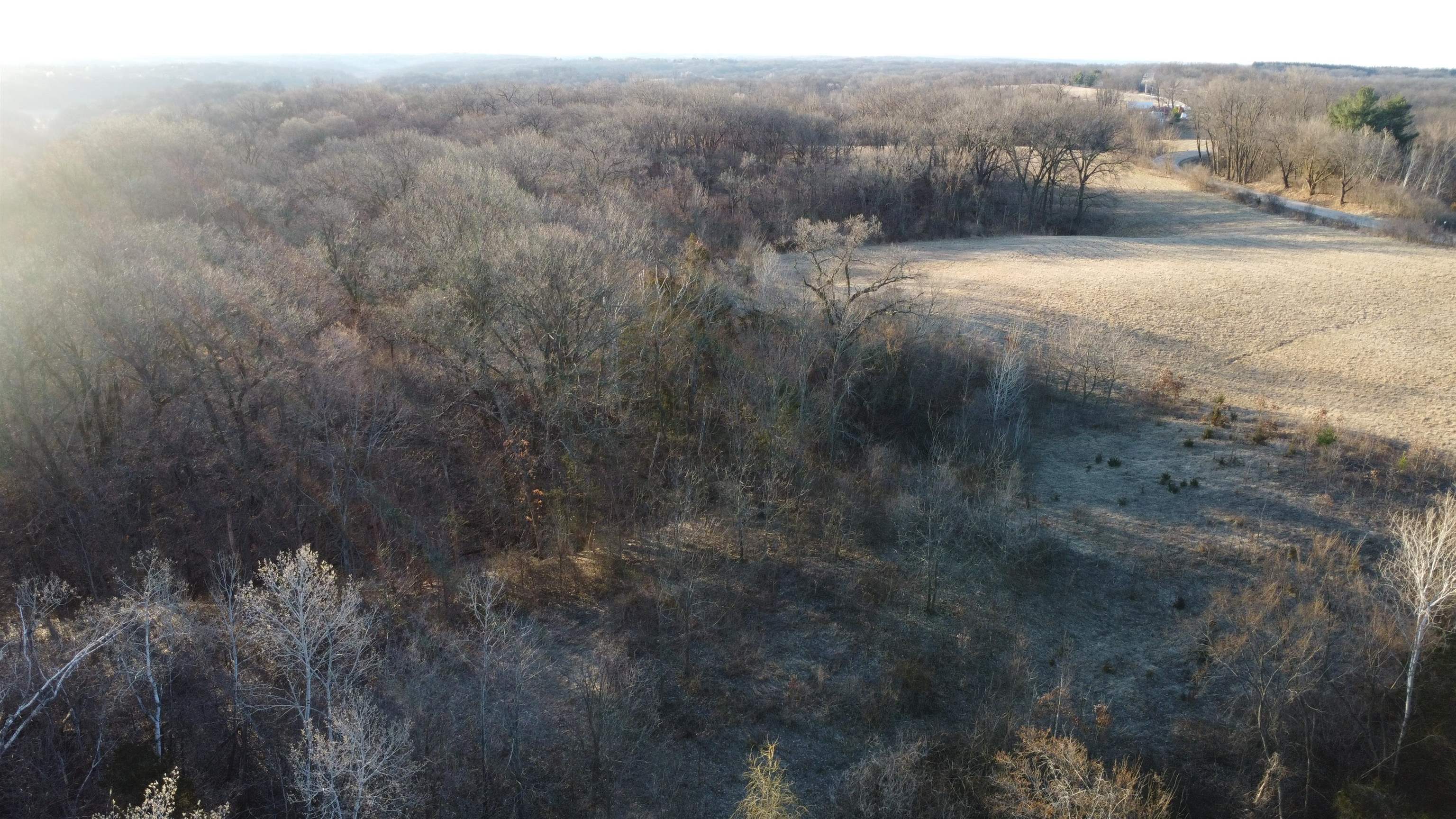 Tbd Scenic Ridge Road Savanna, IL 61074 - Photo 21 of 34 a view of a yard with trees