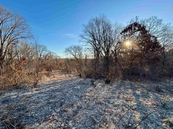 a big yard with lots of green space