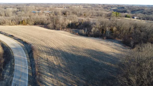 a view of a dry yard with trees