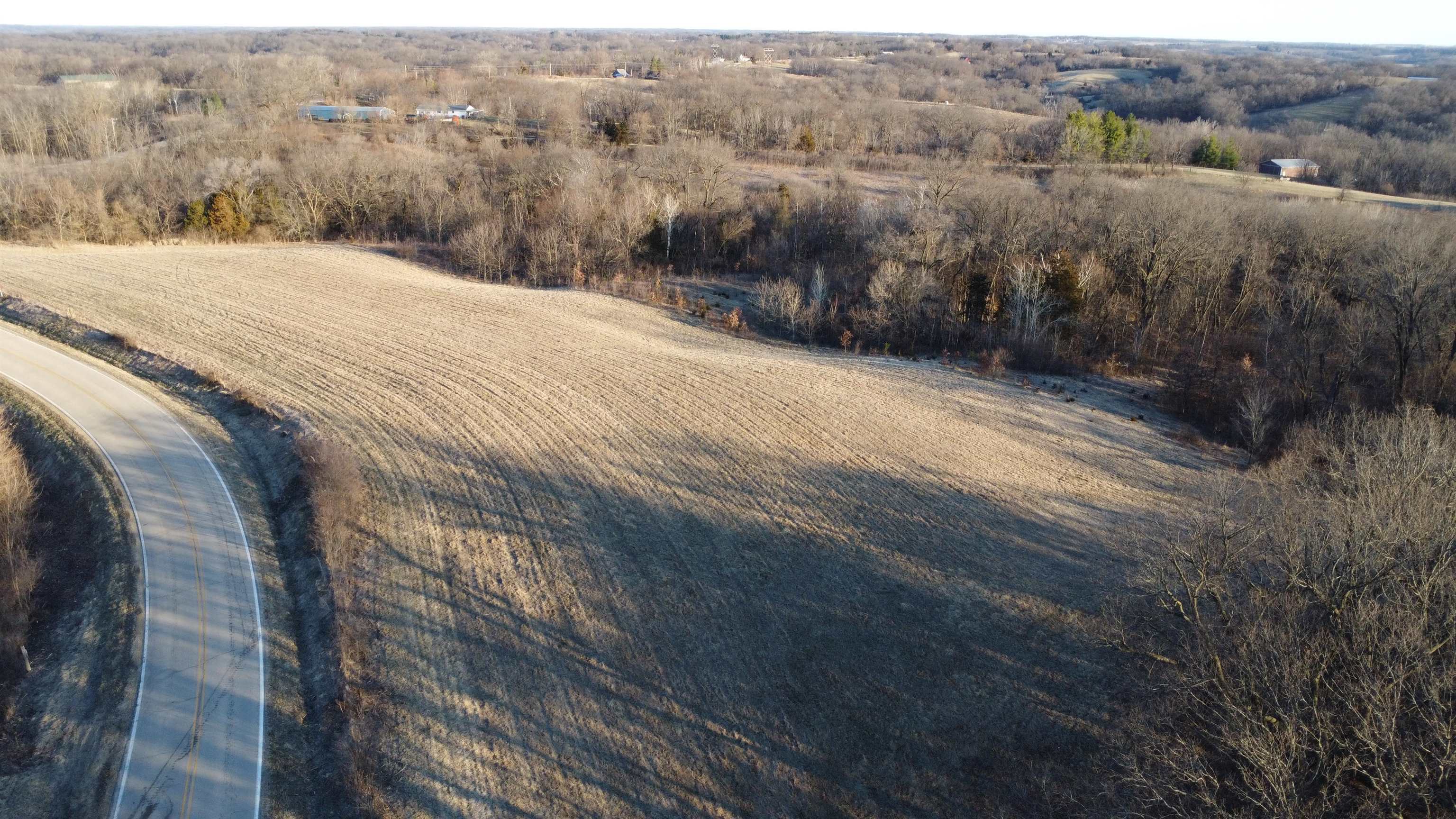 Tbd Scenic Ridge Road Savanna, IL 61074 - Photo 5 of 34 a view of a dry yard with trees