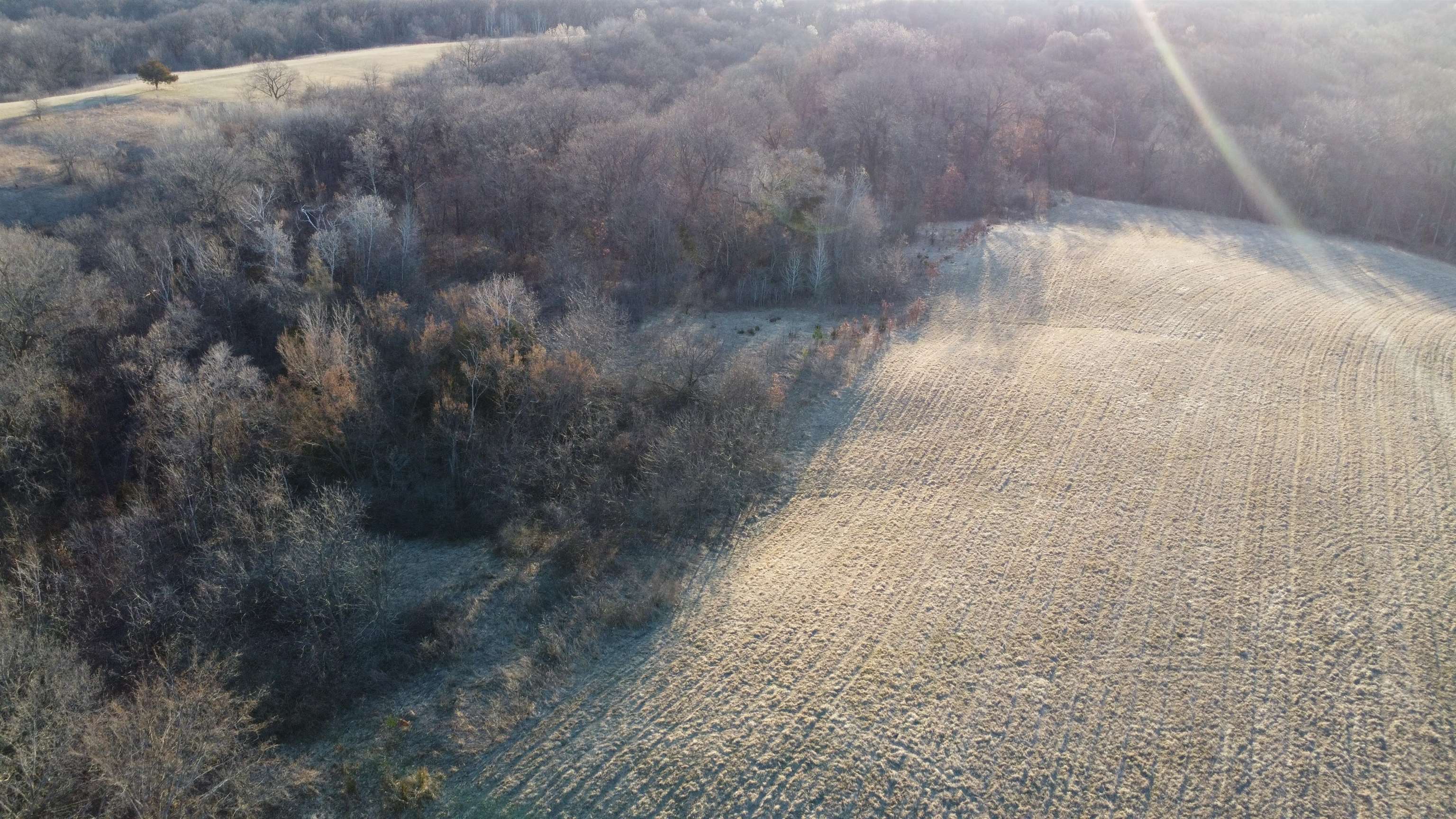 Tbd Scenic Ridge Road Savanna, IL 61074 - Photo 7 of 34 a view of a yard