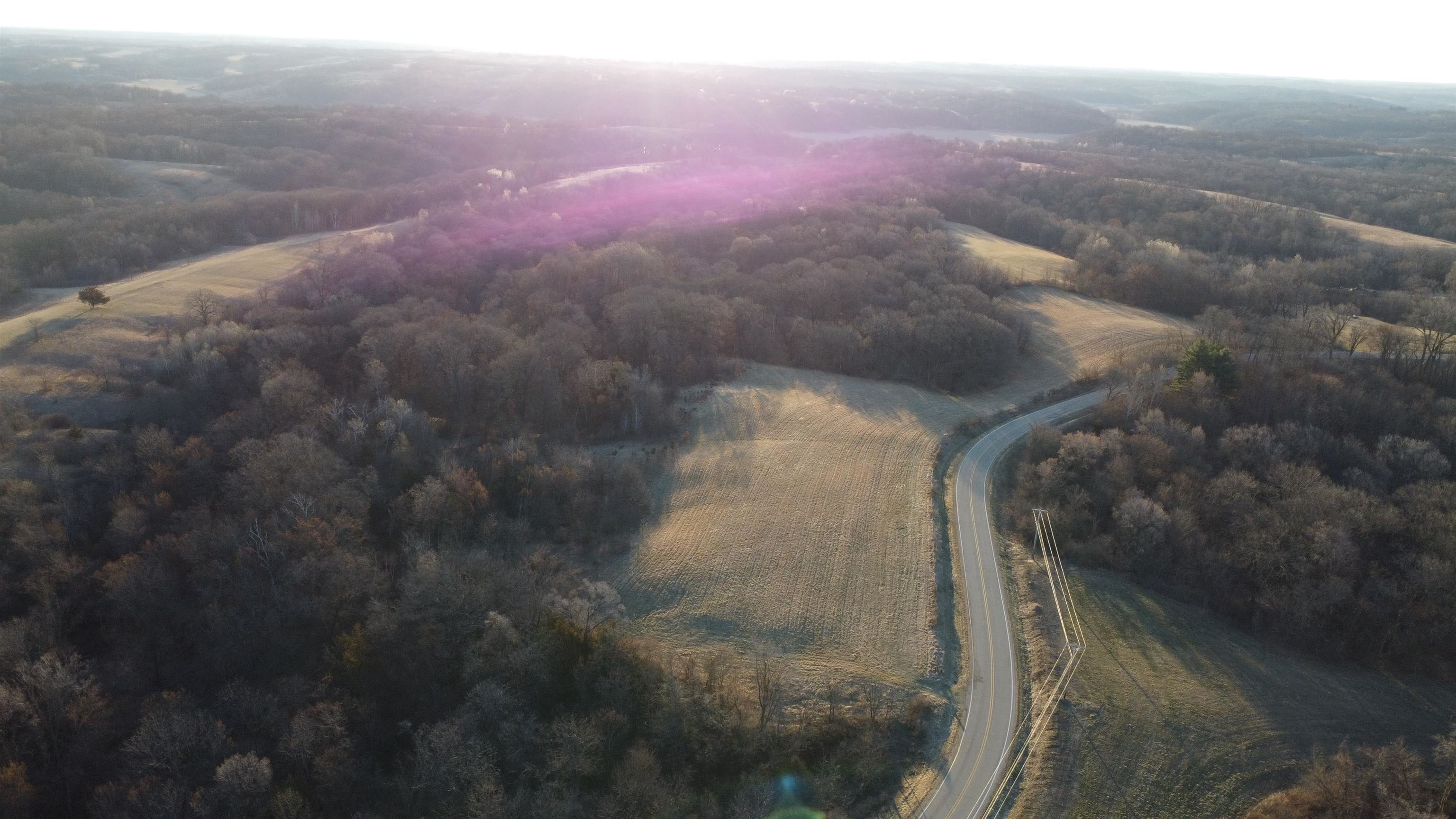Tbd Scenic Ridge Road Savanna, IL 61074 - Photo 8 of 34 a view of a yard
