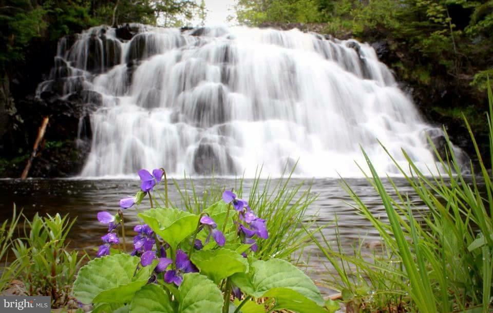 2056 Flag Marsh Road Mount Airy, MD 21771 - Photo 26 of 26 Beautiful Gillis Falls-water 100 yrds off propty