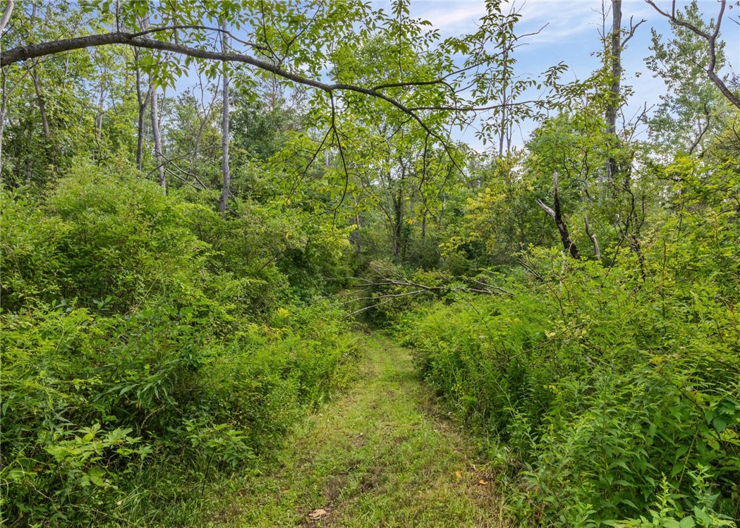 1235 Peck Road Parma, NY 14468 - Photo 43 of 49 Gallery Image 43