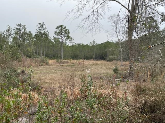 0 Williams Lane Elberta, AL 36530 - Photo 4 of 7