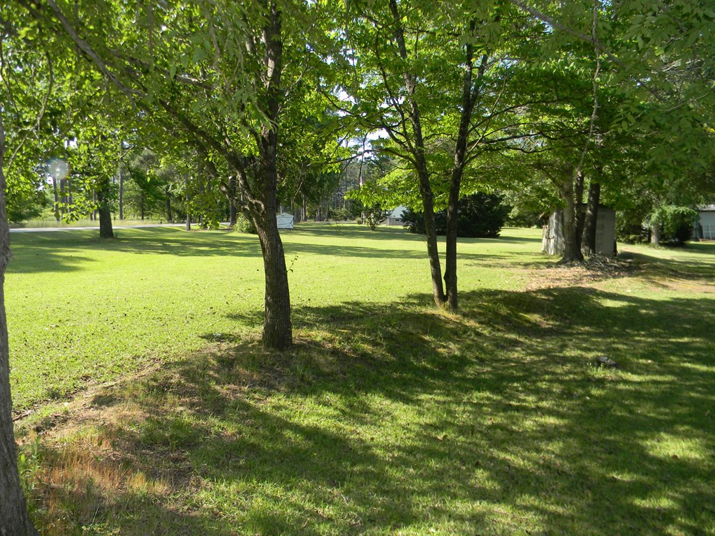 5873 Rousseau Creek Road Thomson, GA 30824 - Photo 19 of 22 Gallery Image 19