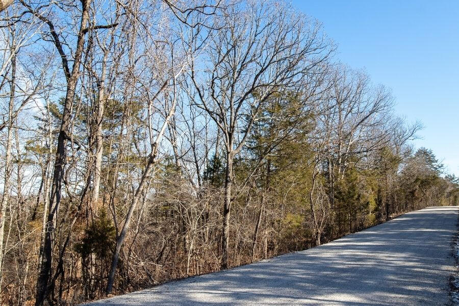 2 Catfish Street Forsyth, MO 65653 - Photo 1 of 1 Vacant Lot