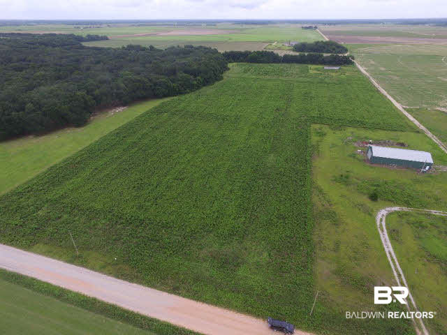 9510 Sherman Road Foley, AL 36535 - Photo 3 of 6