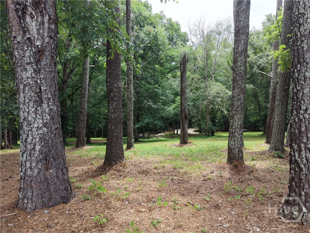 2425 Spratlin Mill Road Hull, GA 30646 - Photo 61 of 70