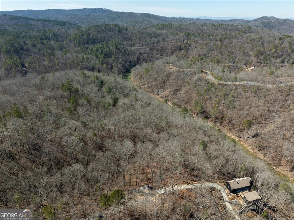 0 River Top Road, Unit 1807 Talking Rock, GA 30175 - Photo 11 of 26
