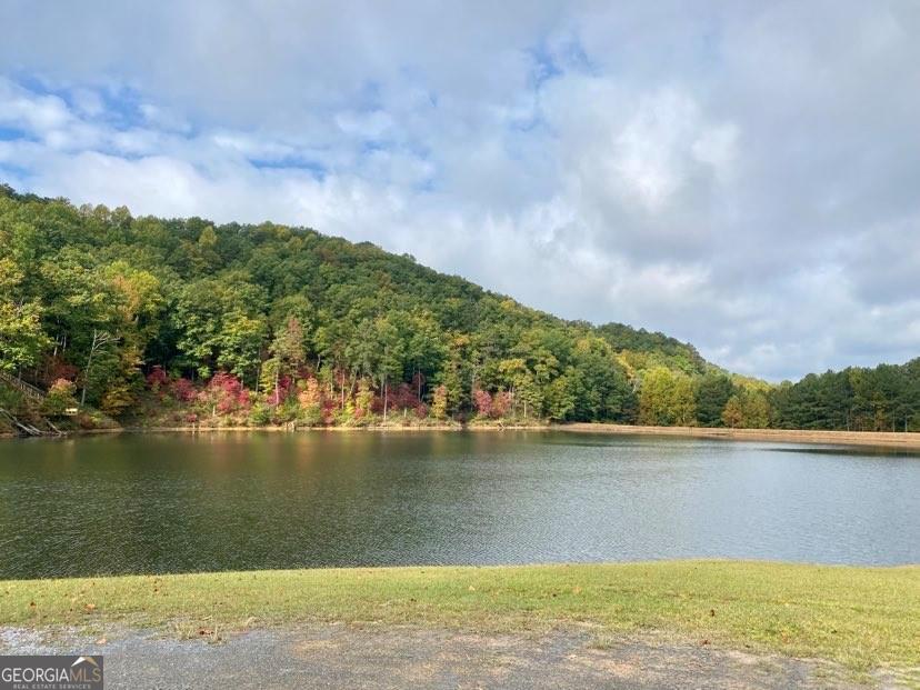 0 River Top Road, Unit 1807 Talking Rock, GA 30175 - Photo 21 of 26