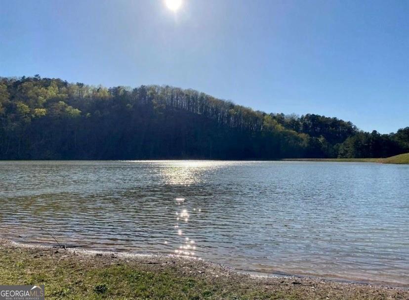 0 River Top Road, Unit 1807 Talking Rock, GA 30175 - Photo 23 of 26