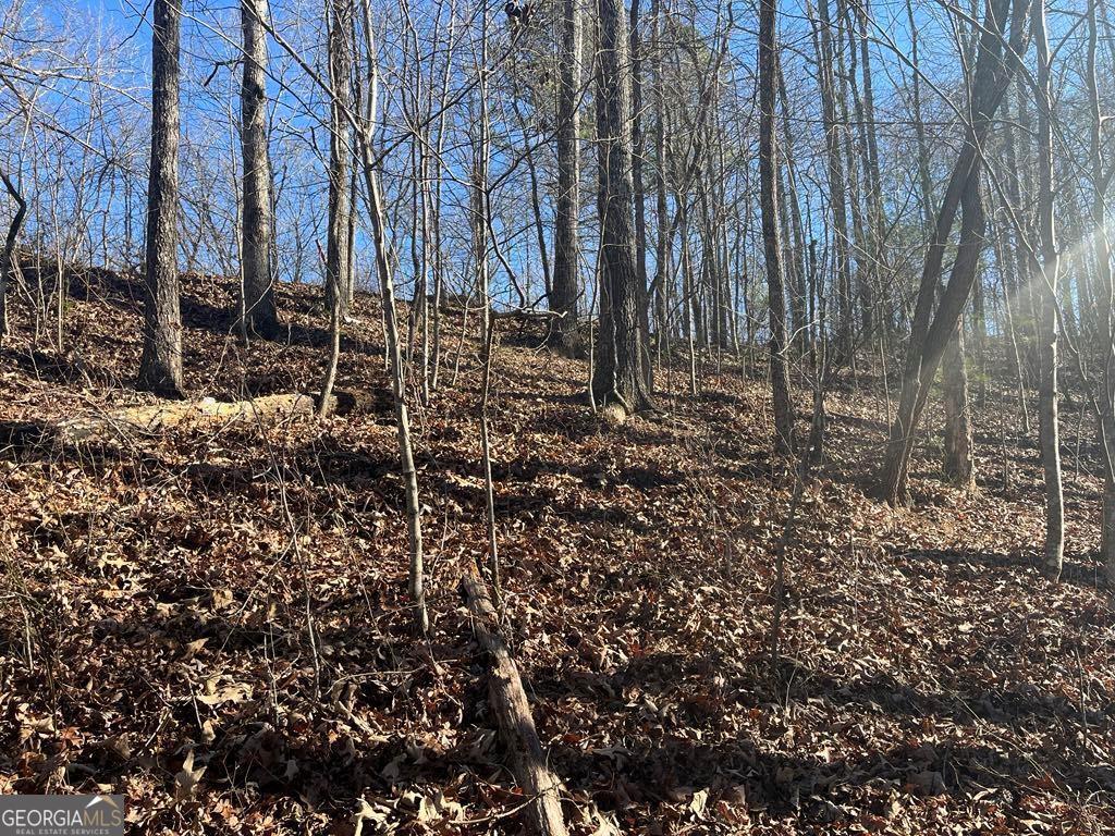 0 River Top Road, Unit 1807 Talking Rock, GA 30175 - Photo 5 of 26