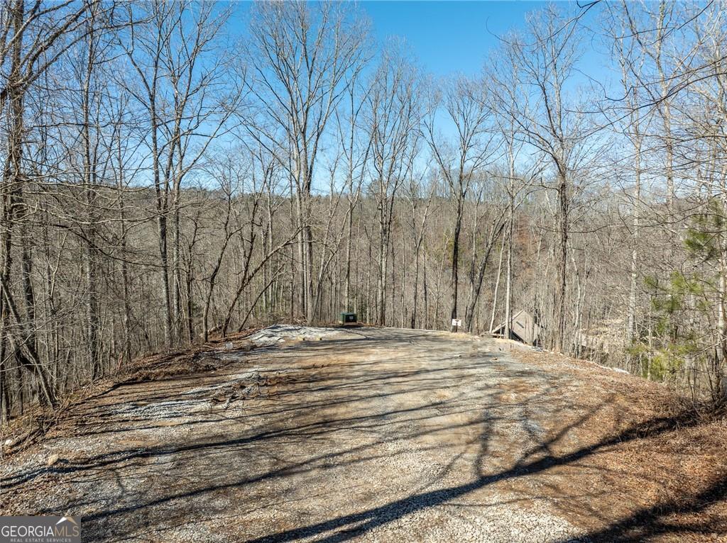 0 River Top Road, Unit 1807 Talking Rock, GA 30175 - Photo 6 of 26
