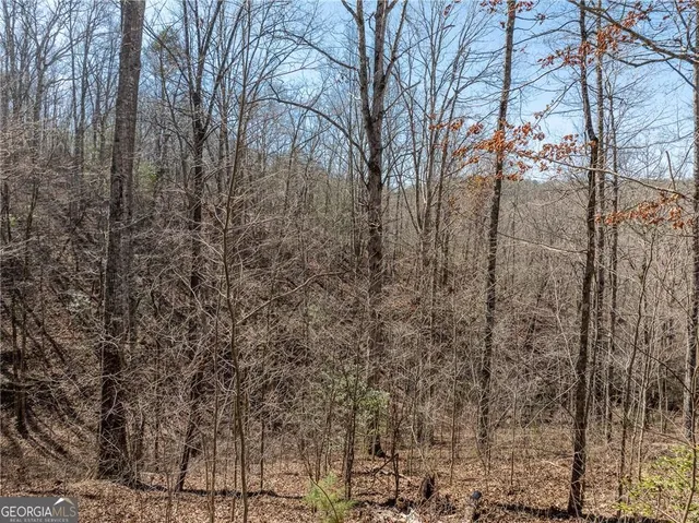 a view of a yard with trees