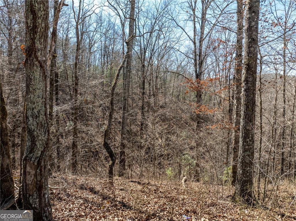 0 River Top Road, Unit 1807 Talking Rock, GA 30175 - Photo 10 of 26