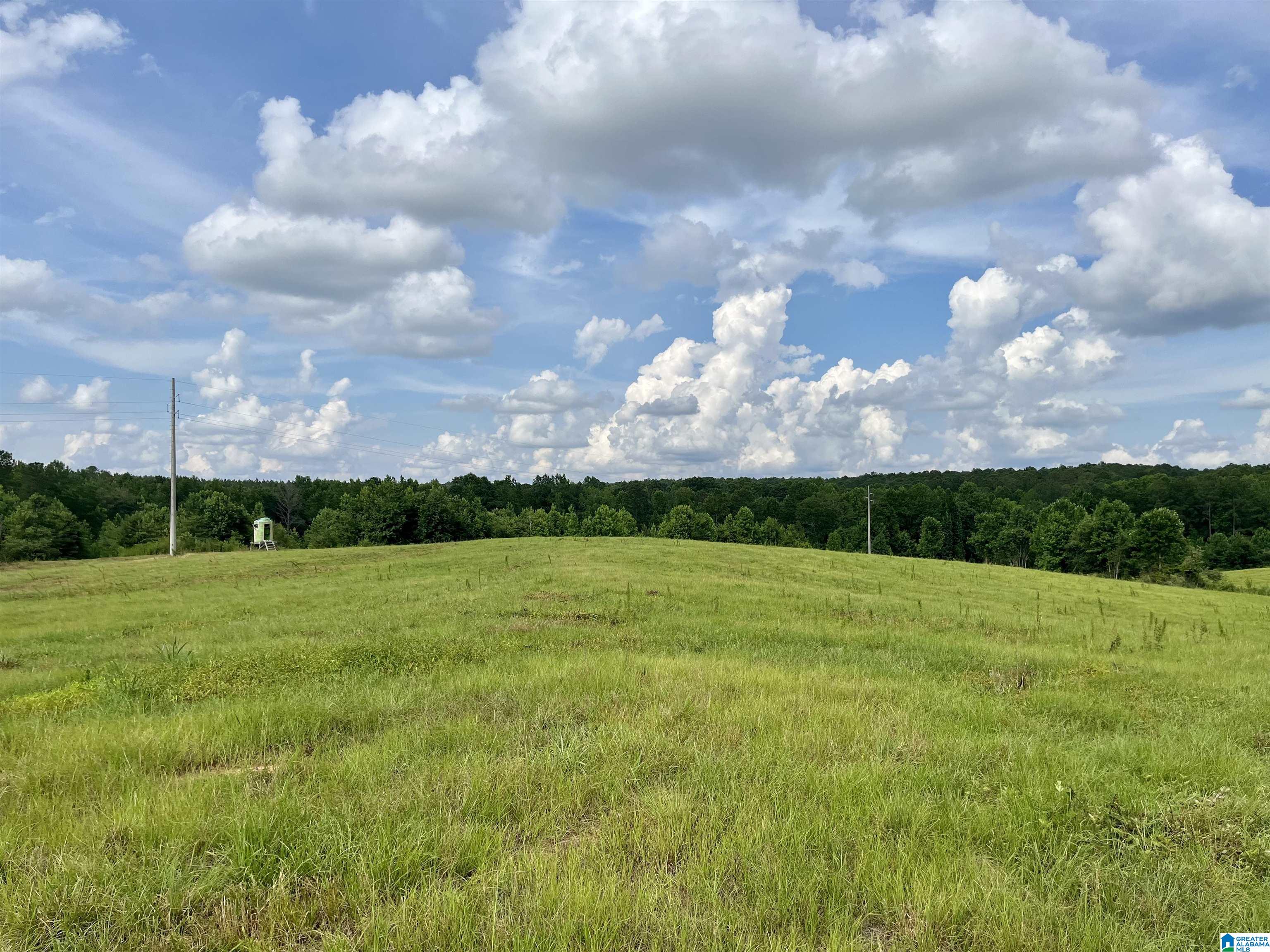 2917 Doublehead Road, Unit 170 ACRES Roanoke, AL 36274 - Photo 1 of 18