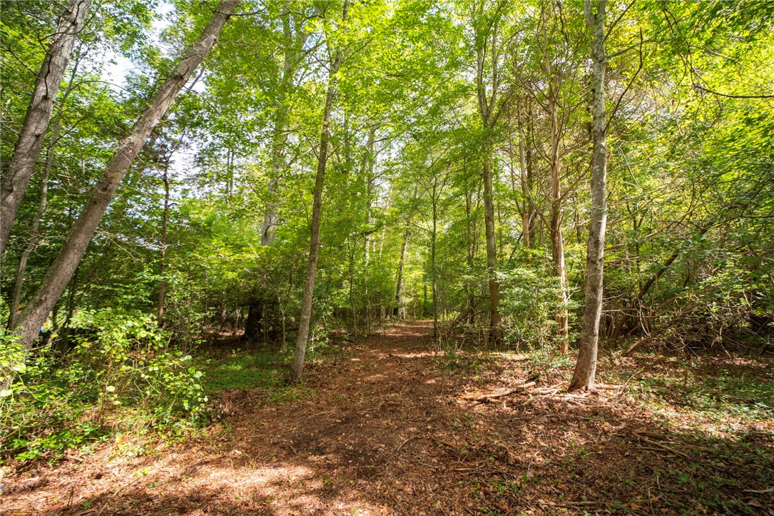 245 John Dyer Road Little Compton, RI 02837 - Photo 4 of 7