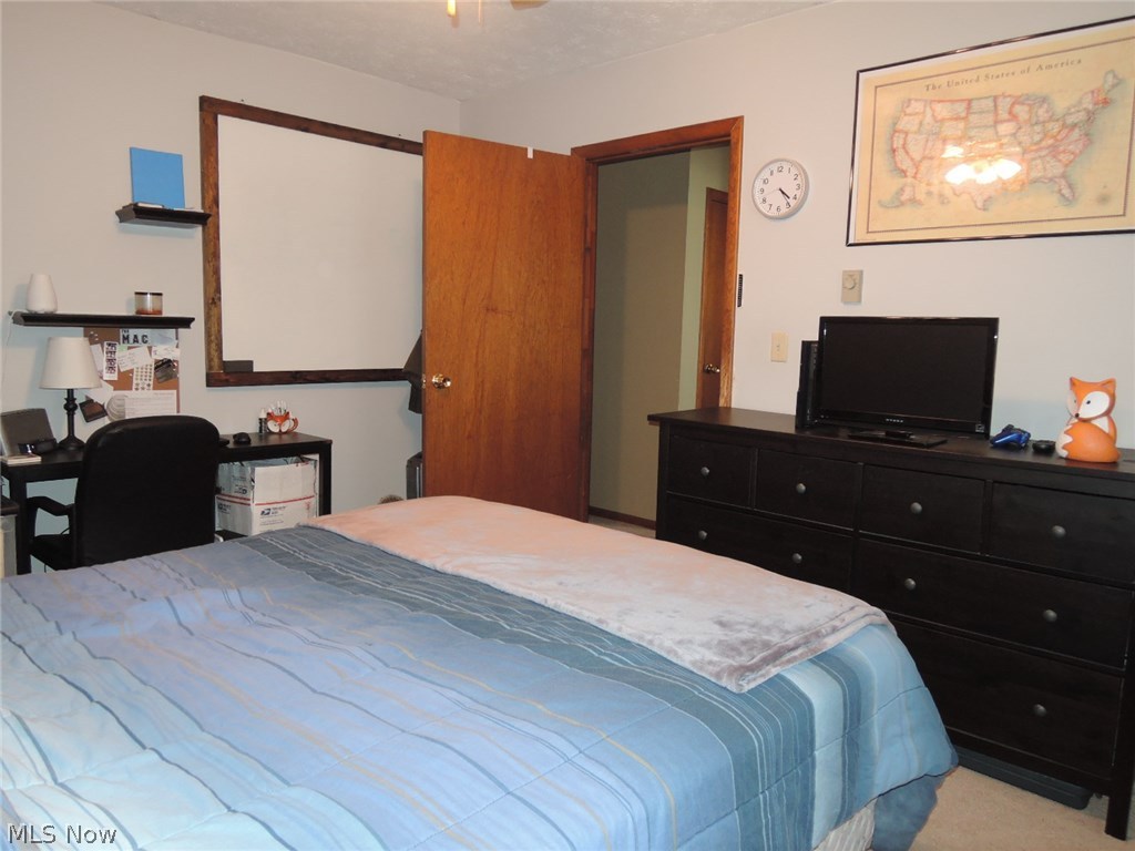 2879 Canfield Road Youngstown, OH 44511 - Photo 28 of 35 Gallery Image 28