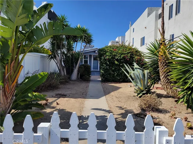a view of a backyard with plants and palm trees