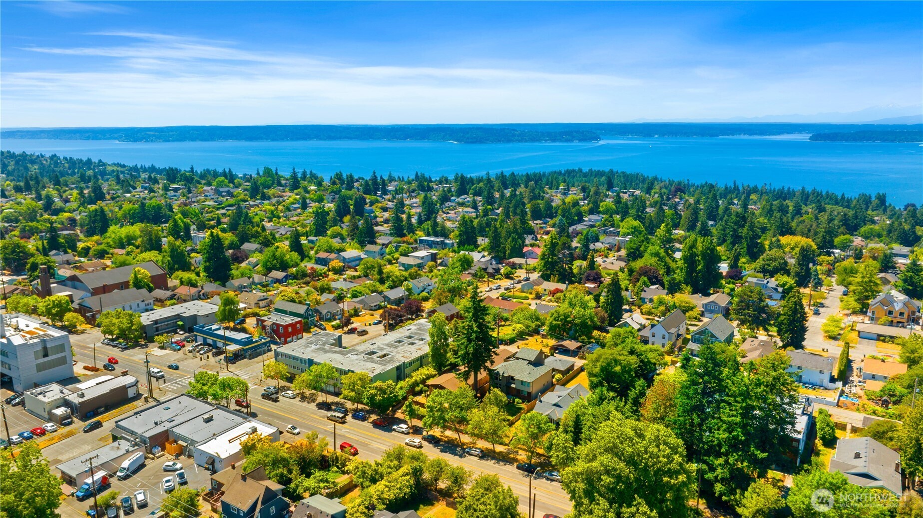 7343 35th Avenue Southwest Seattle, WA 98126 - Photo 31 of 36 an aerial view of a city with lots of residential buildings and mountain in the back