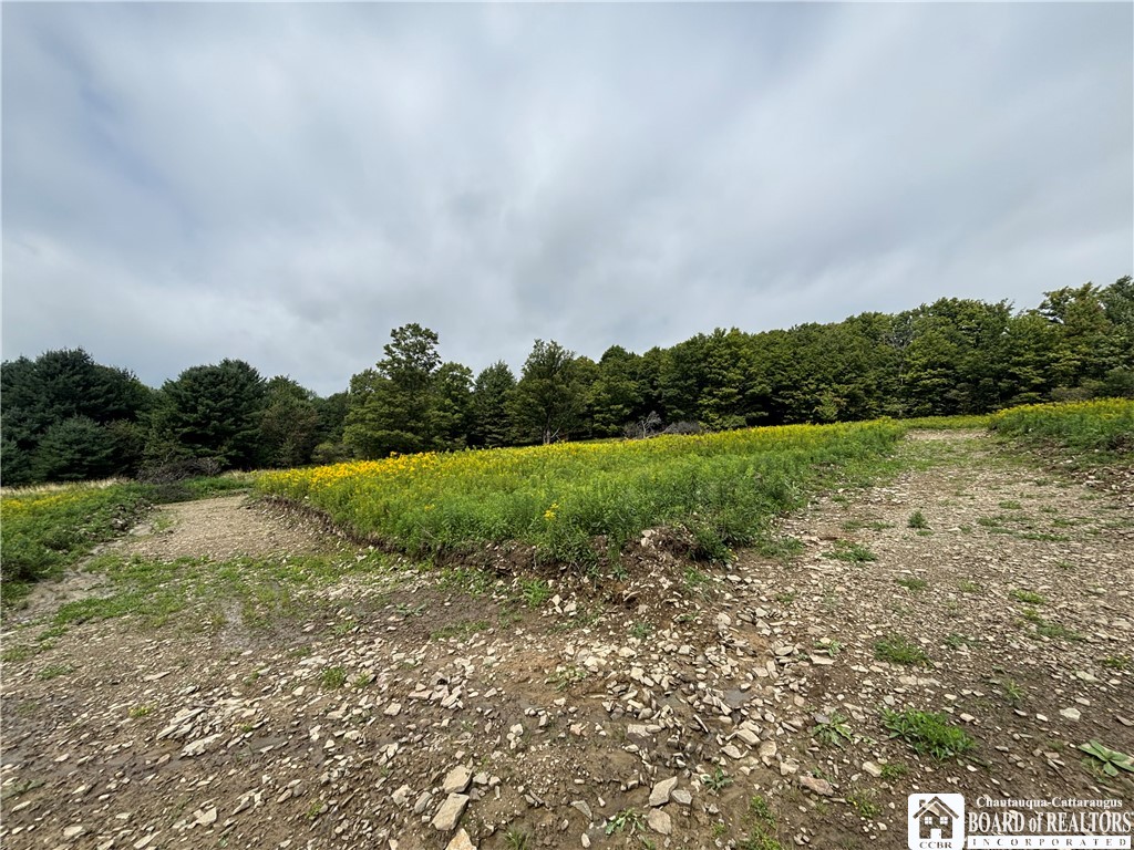 Swain Hill Road Andover, NY 14806 - Photo 14 of 44 Gallery Image 14