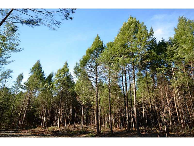 733 Spring Bridge Road Greenbush, ME 04418 - Photo 7 of 20 Land/Lot.