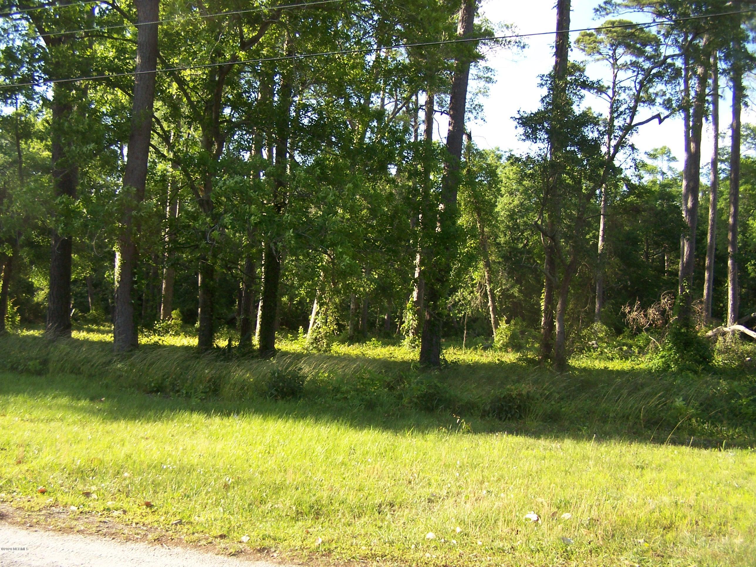 6736 Roberta Road Southwest Ocean Isle Beach, NC 28469 - Photo 1 of 11 View of lot