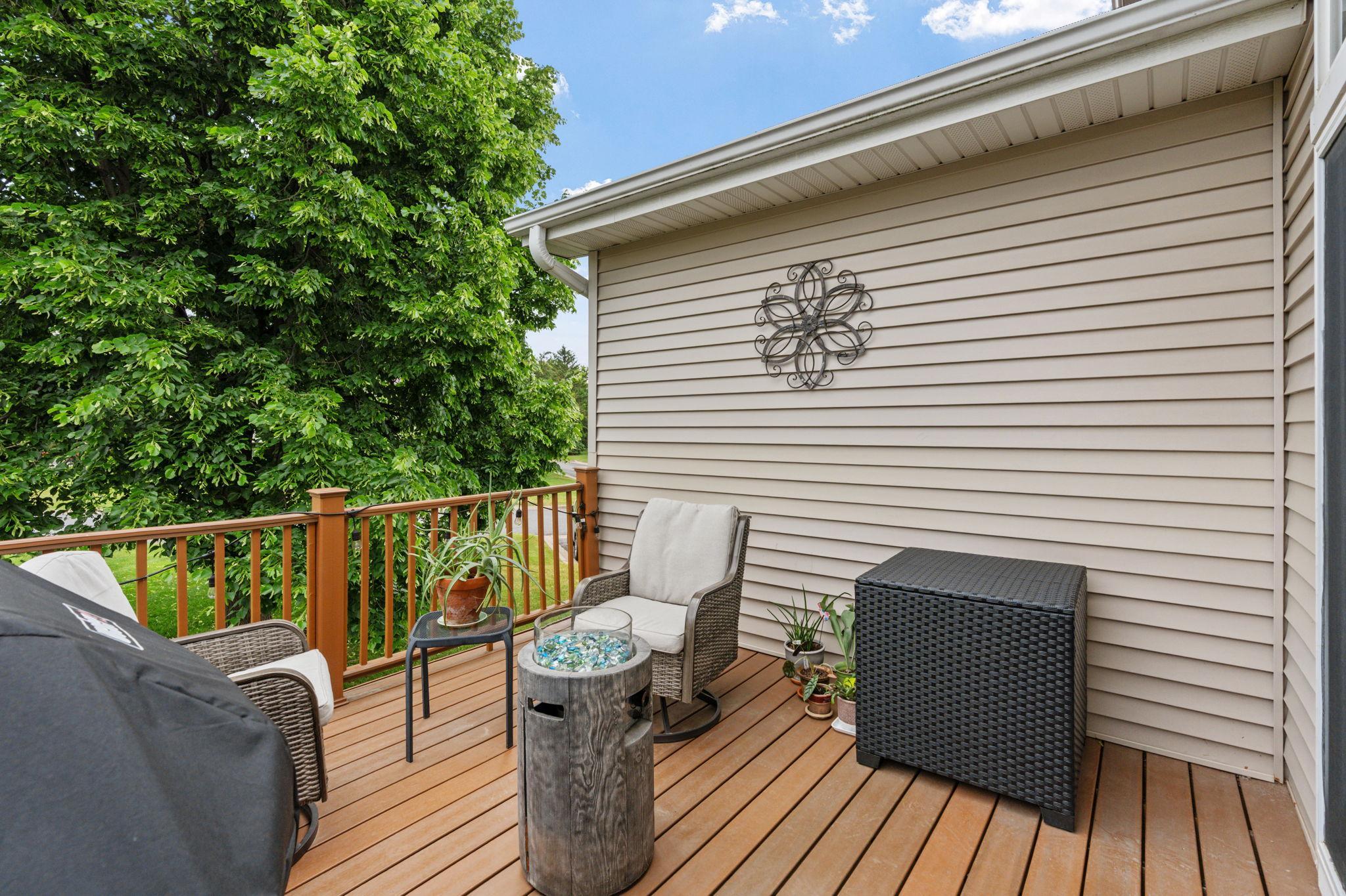 15685 Chestnut Way Rosemount, MN 55068 - Photo 41 of 54