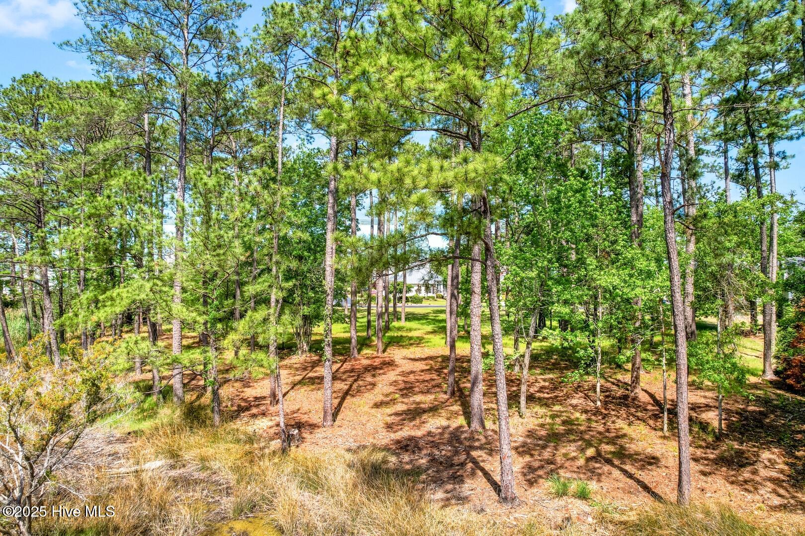 72 Oyster Point Road Oriental, NC 28571 - Photo 22 of 55 72 Oyster Point Road 38 (5)