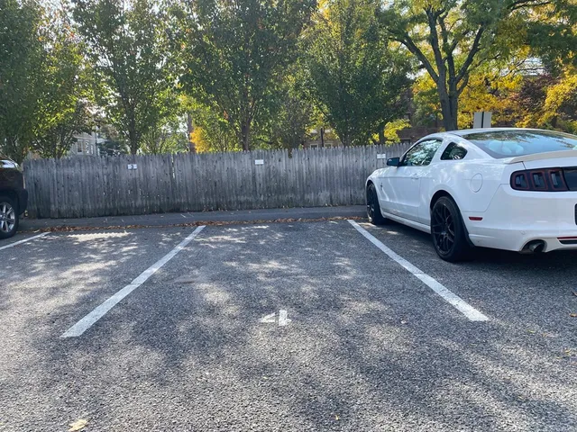 a view of backyard with tree
