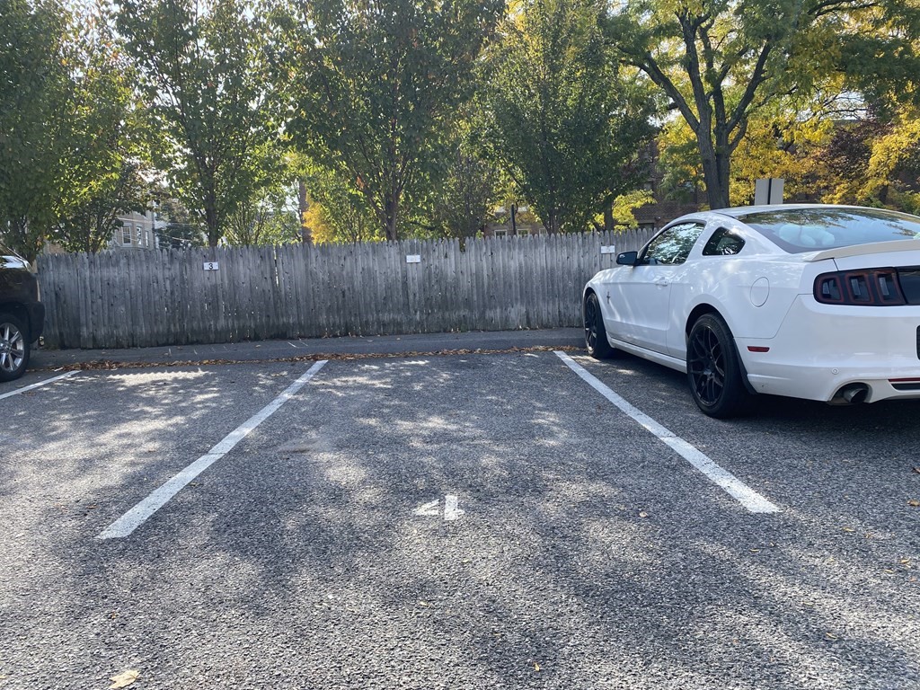 50 Green Street, Unit 209 Brookline, MA 02446 - Photo 16 of 16 a view of backyard with tree