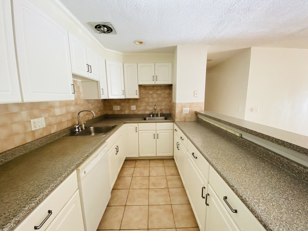 50 Green Street, Unit 209 Brookline, MA 02446 - Photo 3 of 16 a large white kitchen with a sink and cabinets