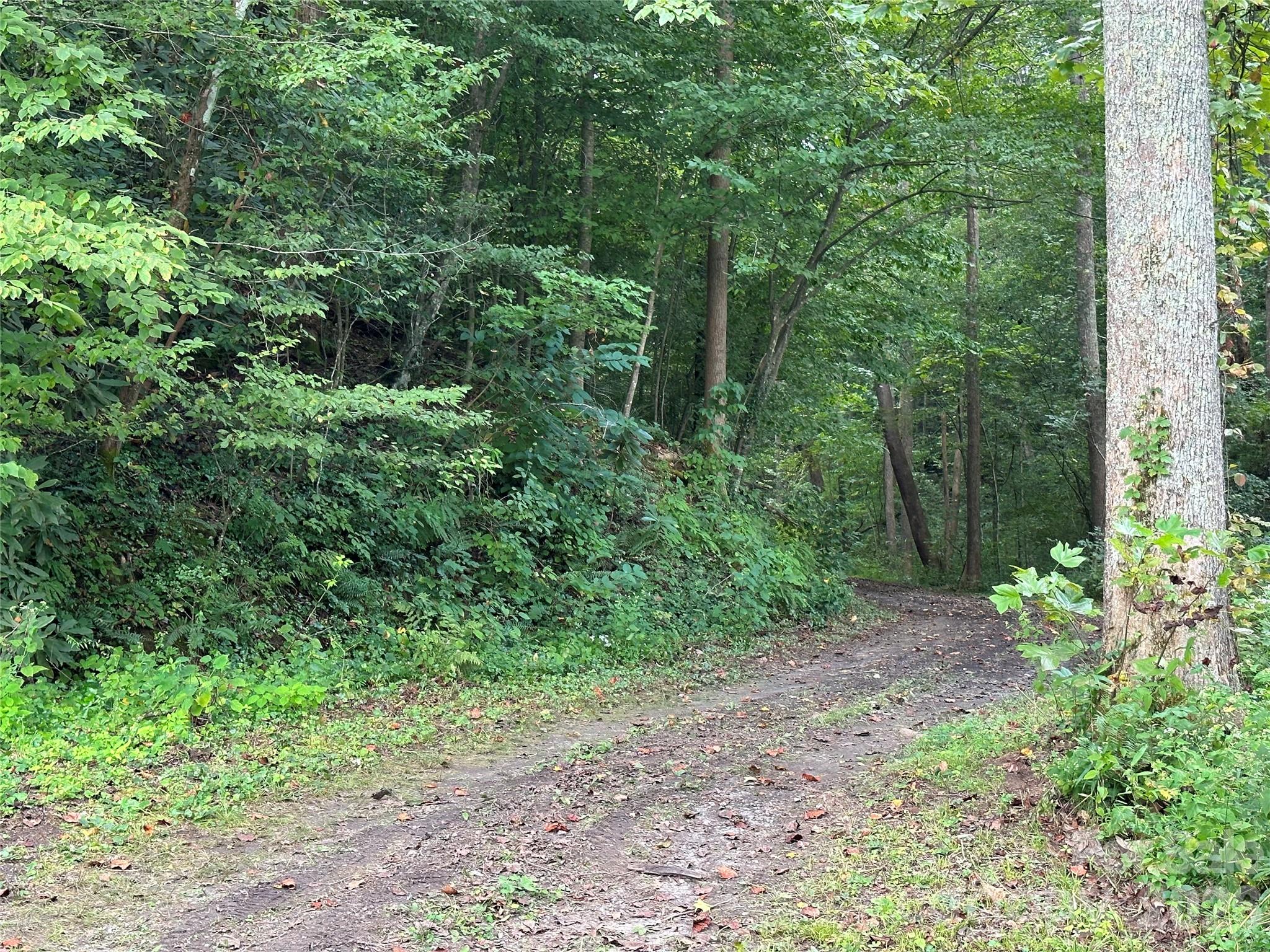 1800 Hilferty Road Hickory, NC 28601 - Photo 11 of 20 a view of a yard with a trees