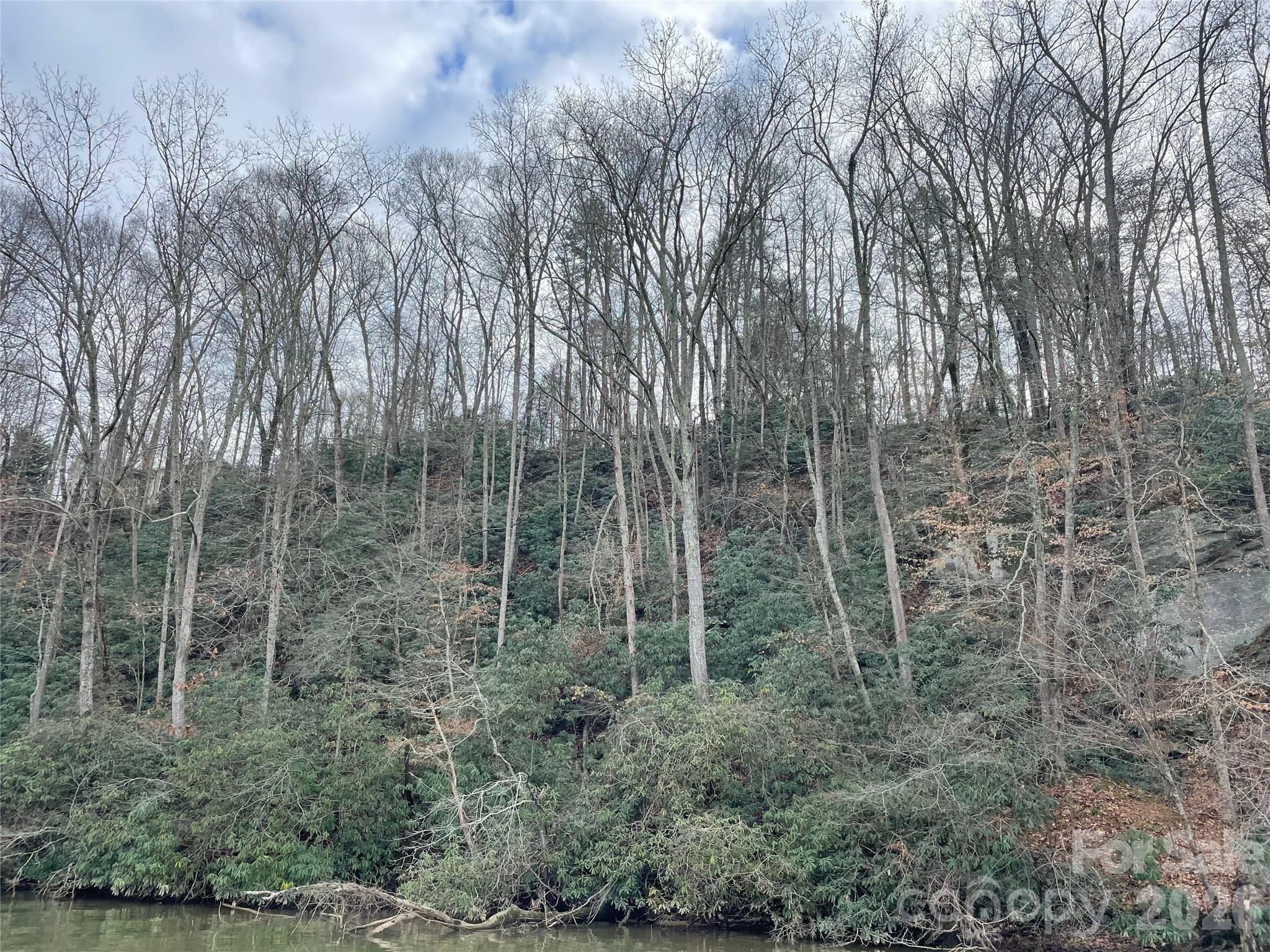 1800 Hilferty Road Hickory, NC 28601 - Photo 13 of 20 a view of a forest with trees in front of a house