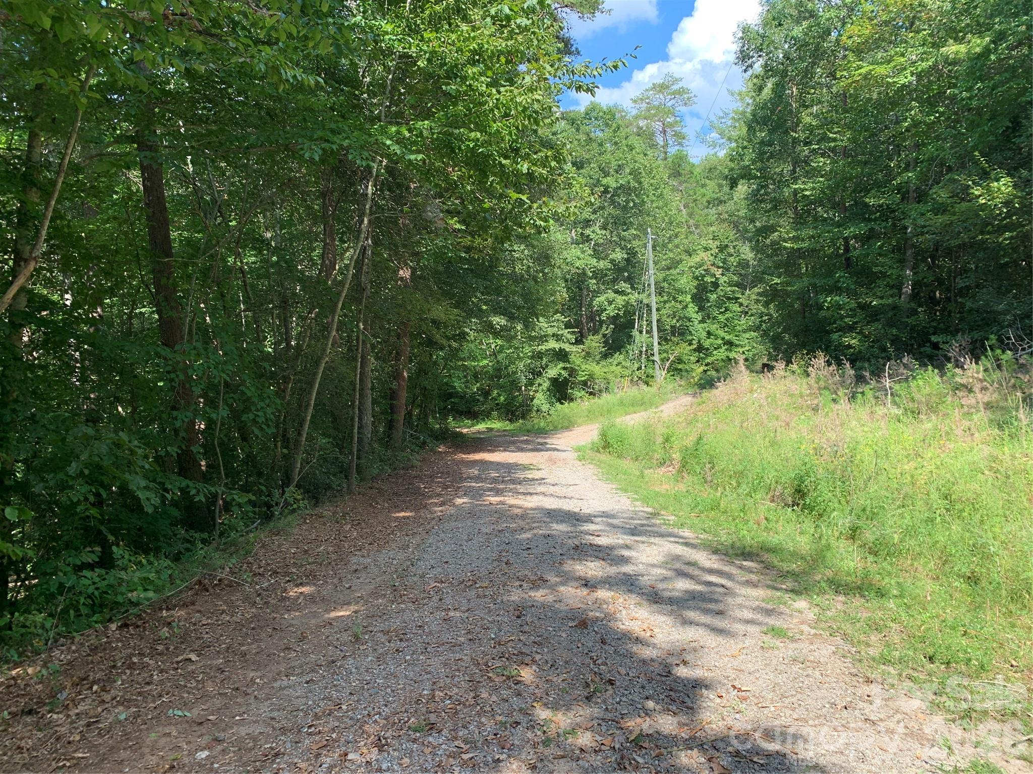 1800 Hilferty Road Hickory, NC 28601 - Photo 9 of 20 a view of a yard with a trees