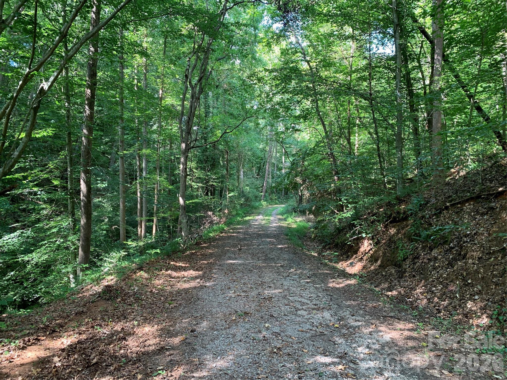 1800 Hilferty Road Hickory, NC 28601 - Photo 10 of 20 a view of a forest with trees in the background