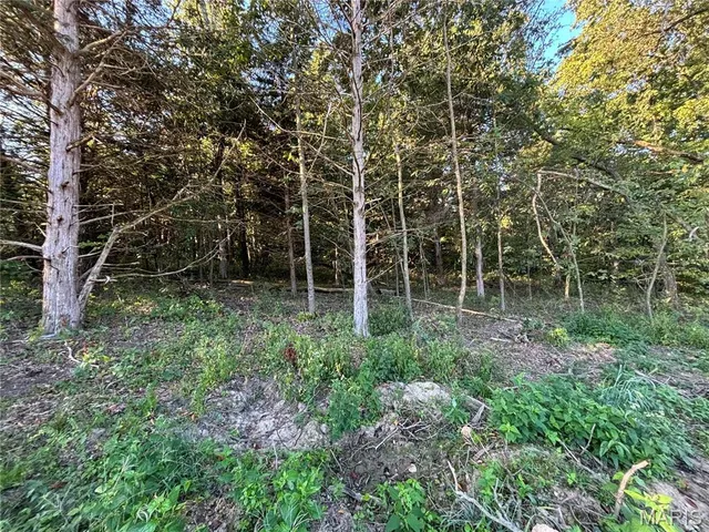 $109,000 | 1 Appaloosa Trail, Monroe City, MO 63456