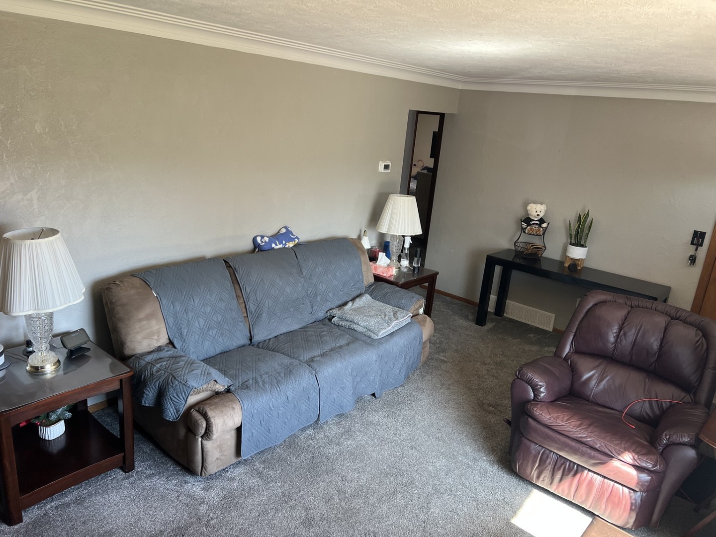 505 North Maple Street Cleveland, IL 61241 - Photo 8 of 15